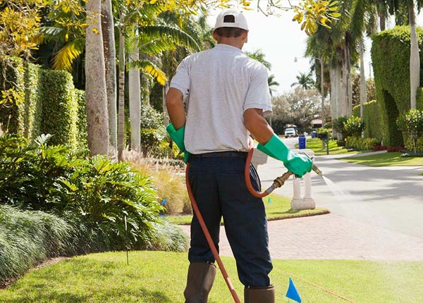 About Gulf Hammock FL Pest Control Pros